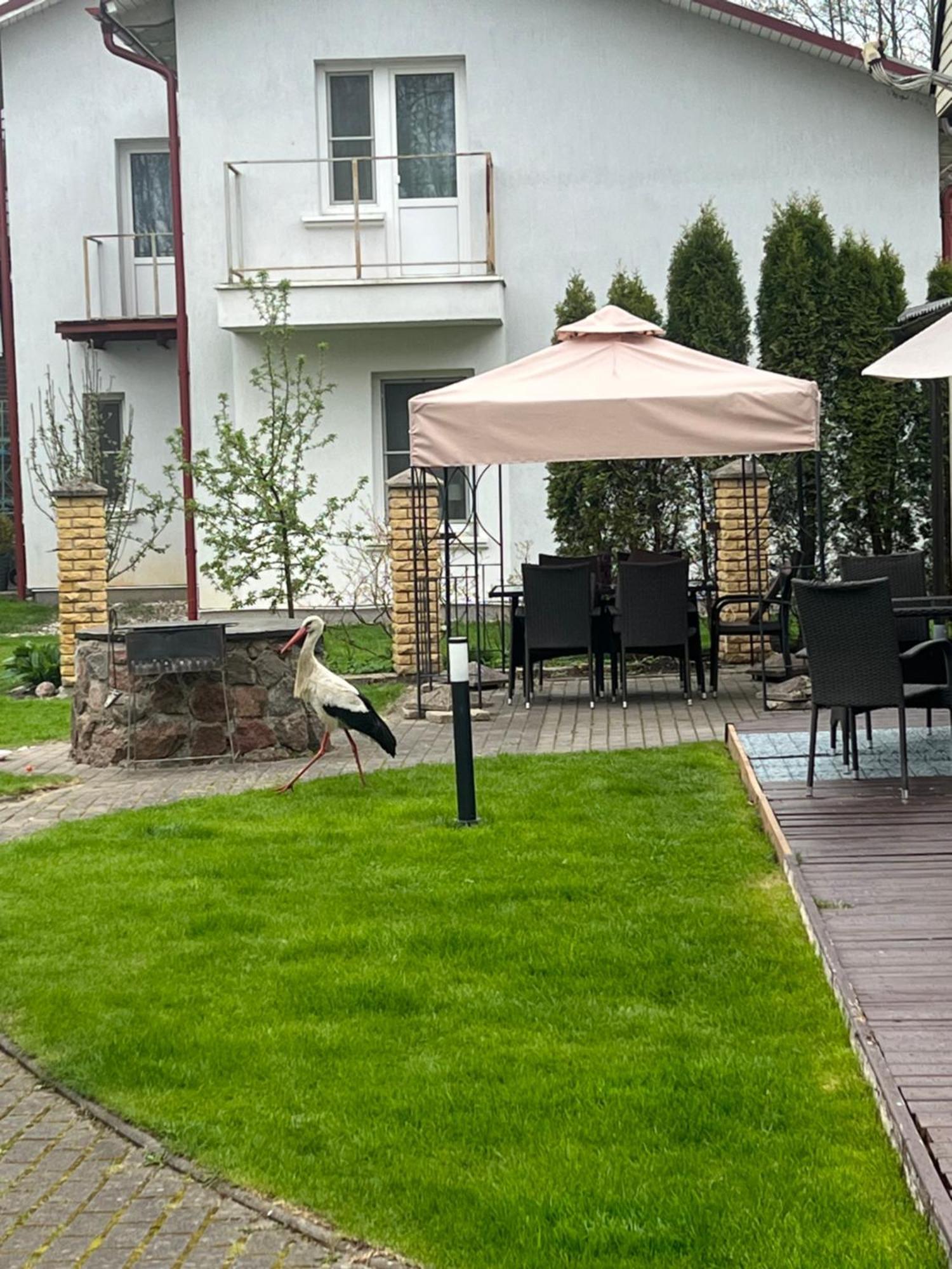 Vila Laurus Palanga Exteriér fotografie
